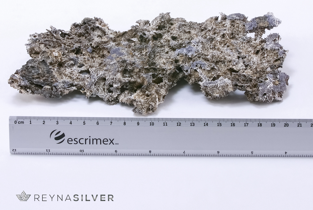 Native silver crystal (plate form), 21.00 cm long by 11.80 cm wide, and an approximate weight of 1,251g. Reyna Silver - Hi-tech silver miners lead search for Mexico’s hidden treasure